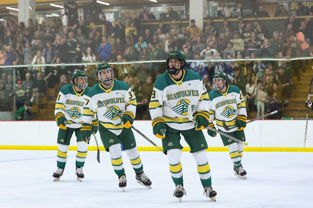 Seawolves Hockey